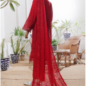 Bin Saeed, Luxurious Pakistani Dress